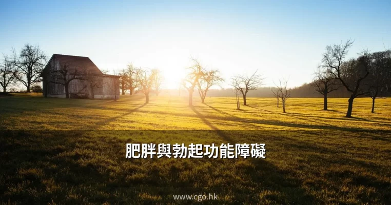 肥胖與勃起功能障礙